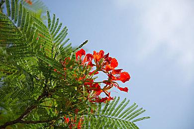 《守望先锋2》开发者：正积极讨论加入跨性别角色